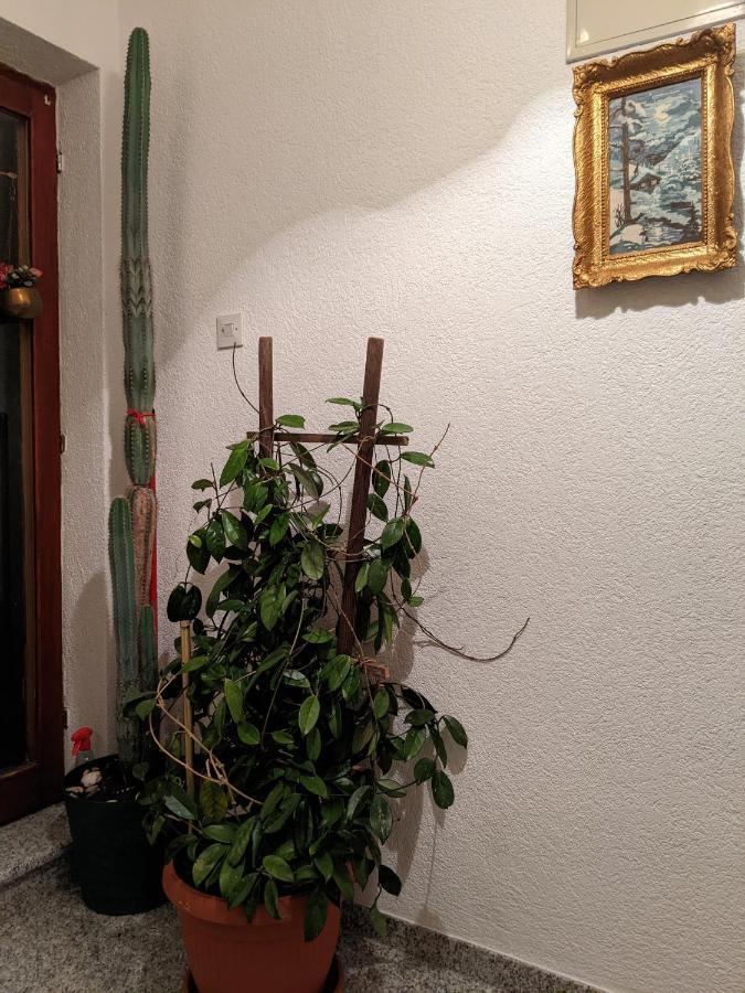 Apartmani Hrastik Bihać Kültér fotó