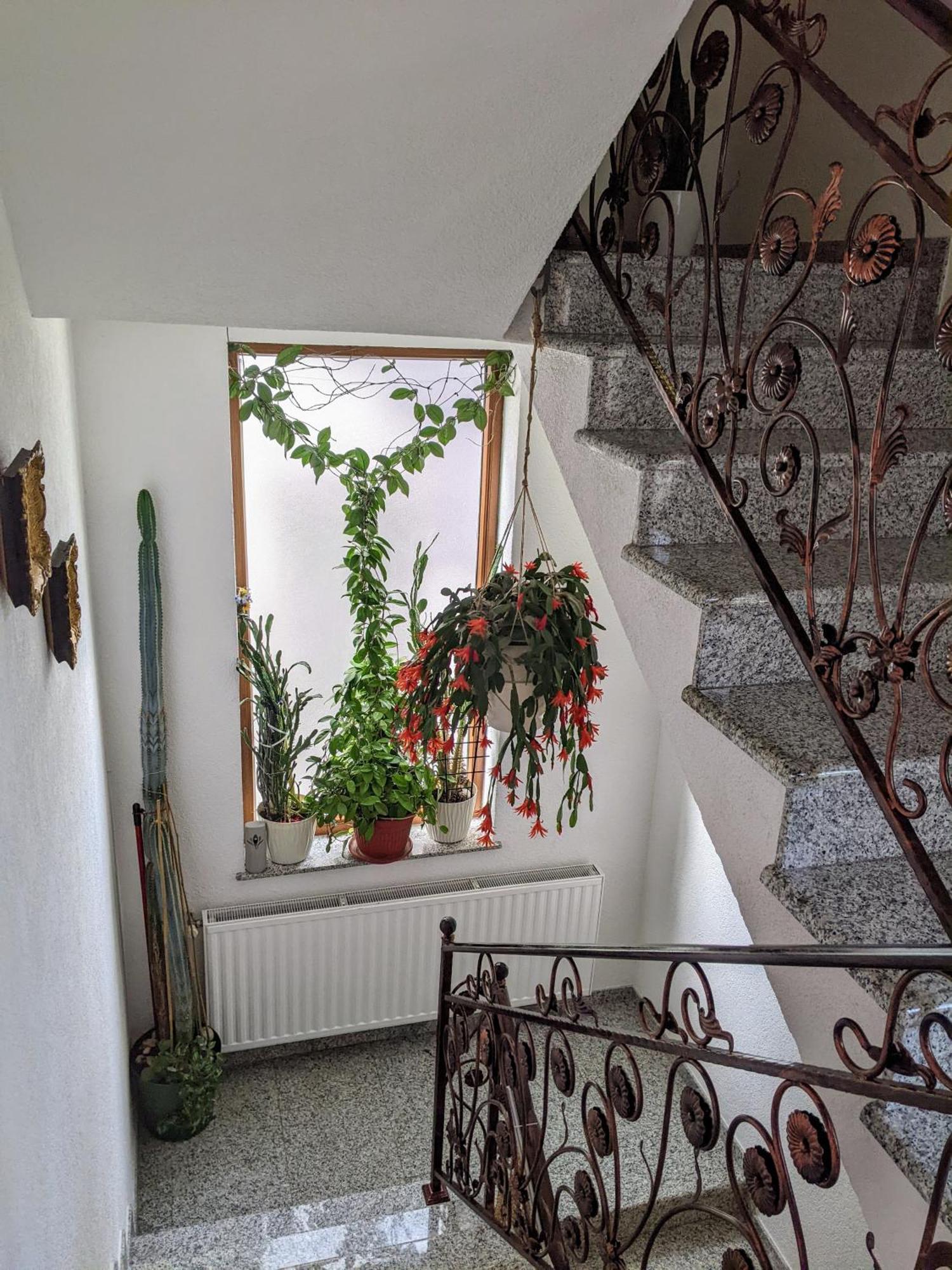 Apartmani Hrastik Bihać Kültér fotó