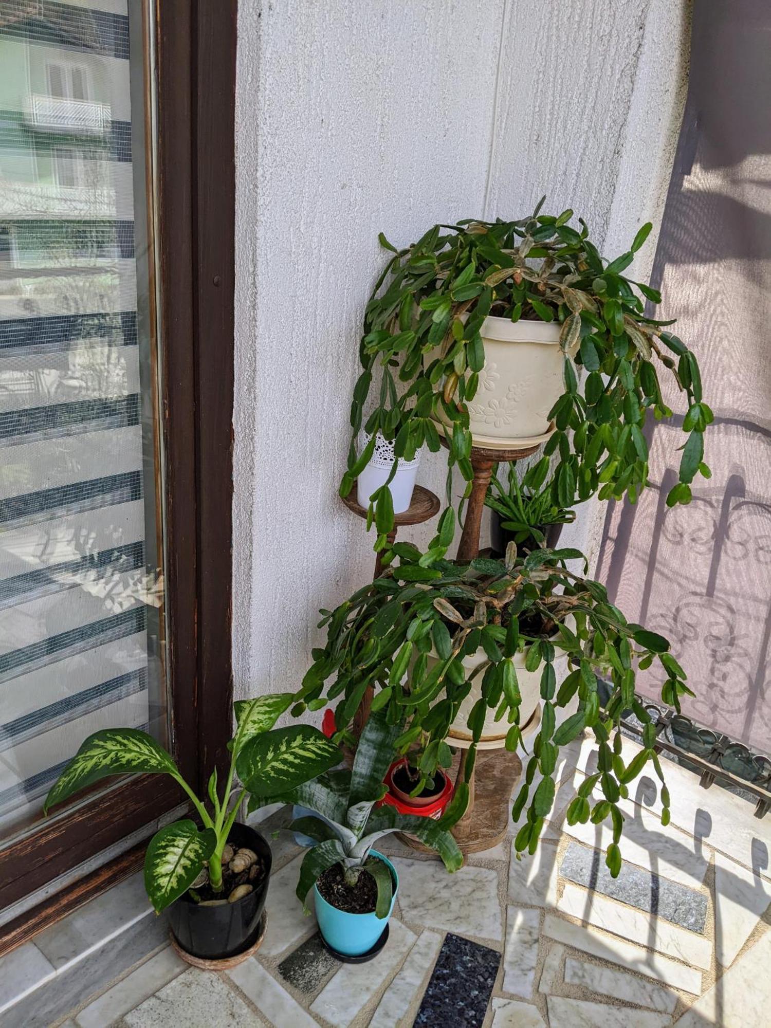 Apartmani Hrastik Bihać Szoba fotó