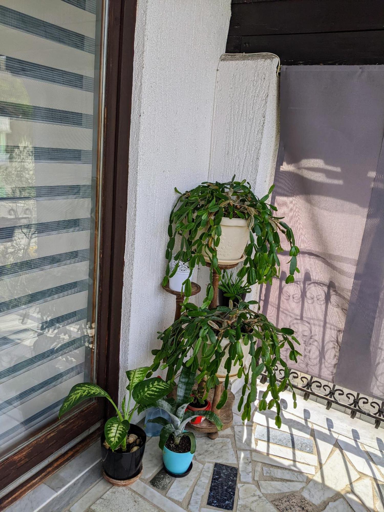 Apartmani Hrastik Bihać Szoba fotó